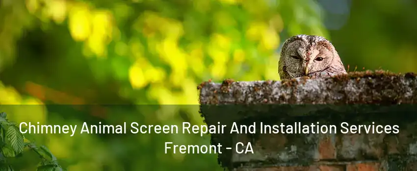 Chimney Animal Screen Repair And Installation Services Fremont - CA