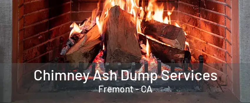 Chimney Ash Dump Services Fremont - CA