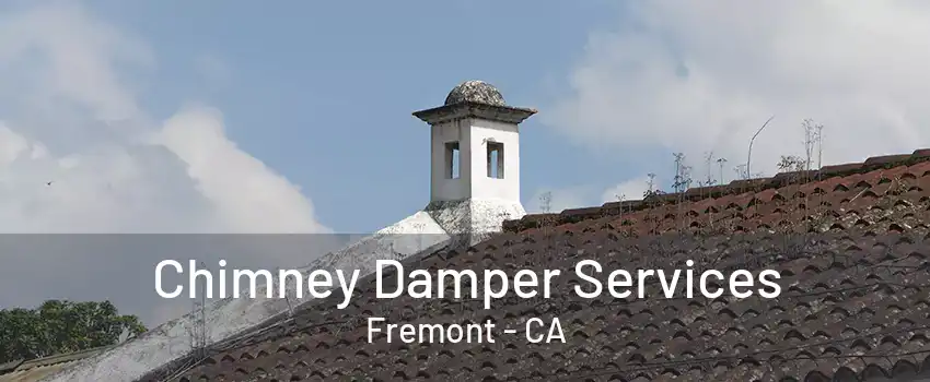 Chimney Damper Services Fremont - CA