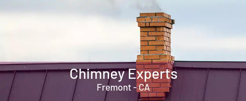 Chimney Experts Fremont - CA