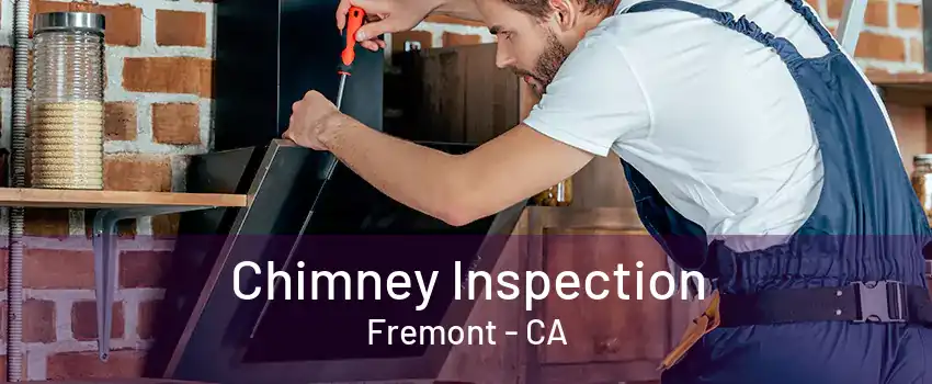 Chimney Inspection Fremont - CA