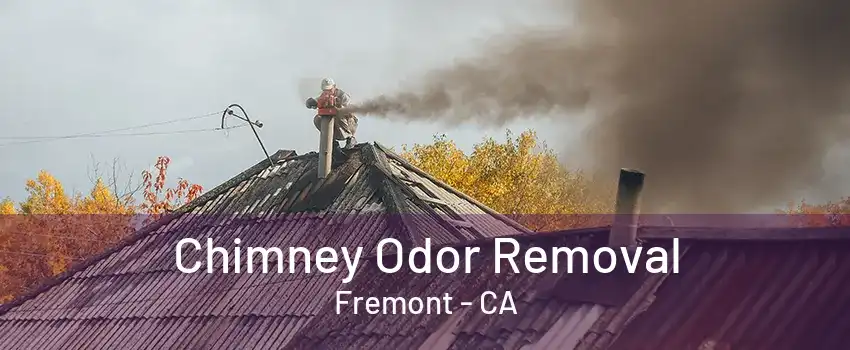 Chimney Odor Removal Fremont - CA