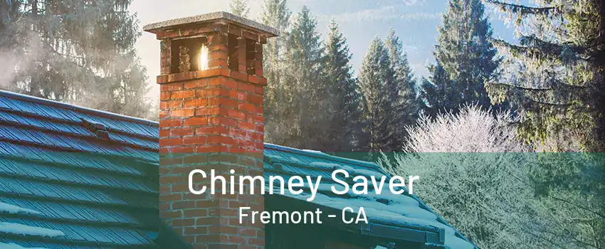 Chimney Saver Fremont - CA