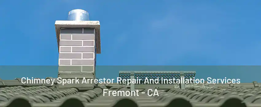 Chimney Spark Arrestor Repair And Installation Services Fremont - CA