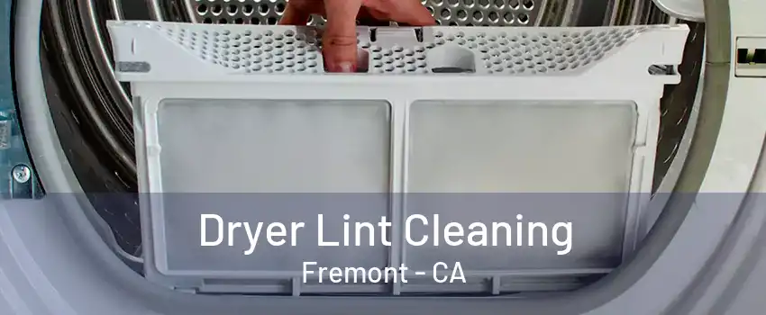 Dryer Lint Cleaning Fremont - CA