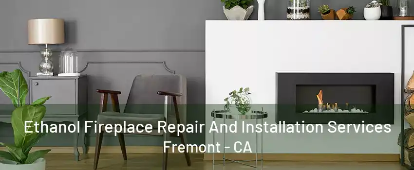 Ethanol Fireplace Repair And Installation Services Fremont - CA
