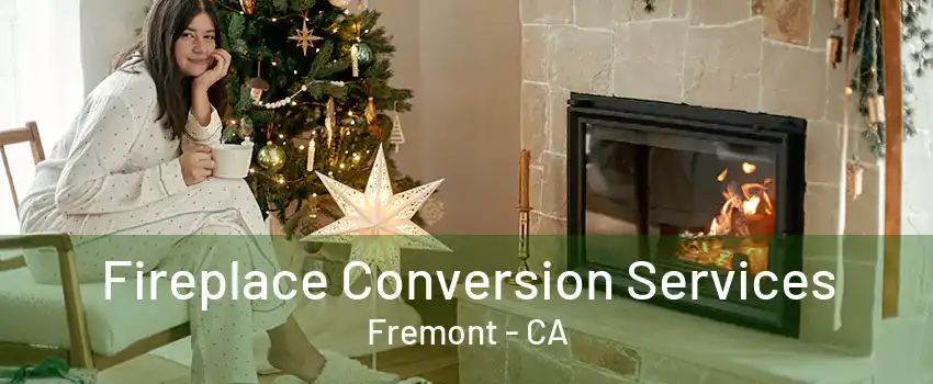 Fireplace Conversion Services Fremont - CA