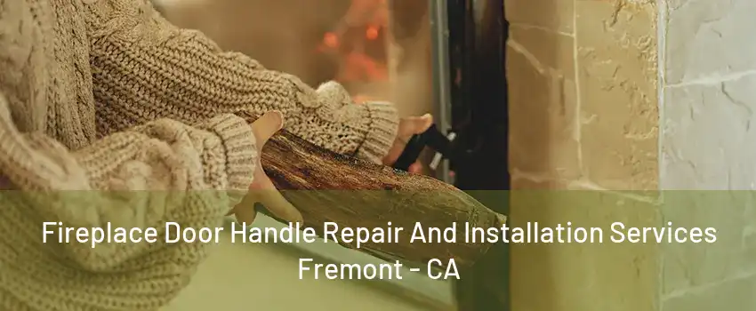 Fireplace Door Handle Repair And Installation Services Fremont - CA