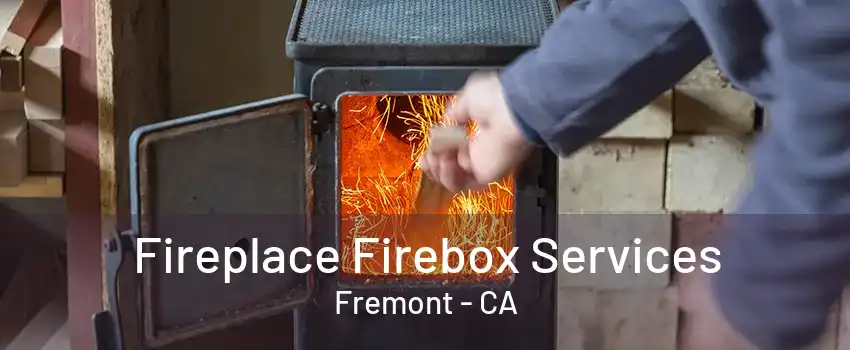 Fireplace Firebox Services Fremont - CA