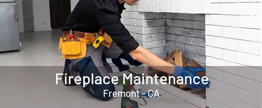 Fireplace Maintenance Fremont - CA