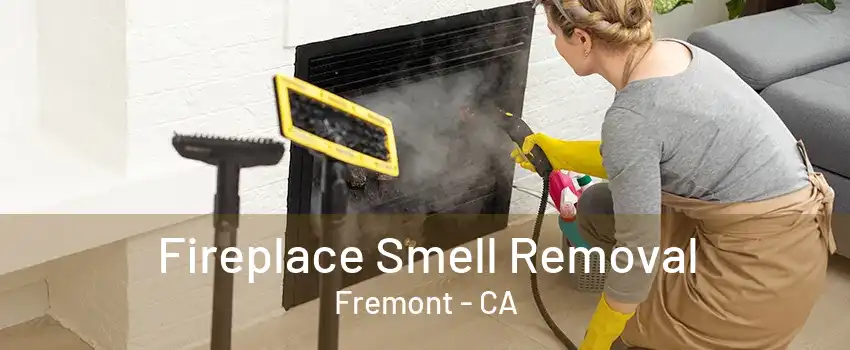 Fireplace Smell Removal Fremont - CA