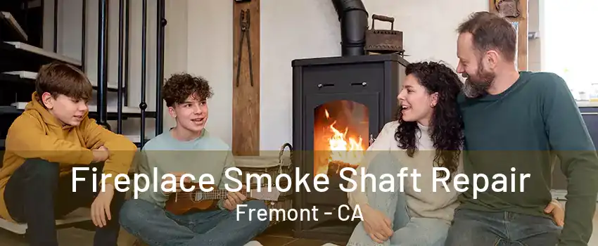 Fireplace Smoke Shaft Repair Fremont - CA