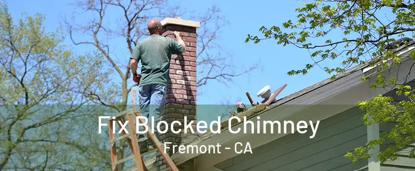 Fix Blocked Chimney Fremont - CA