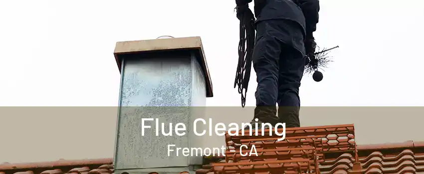 Flue Cleaning Fremont - CA