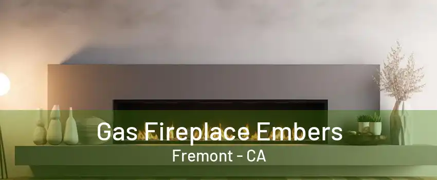 Gas Fireplace Embers Fremont - CA