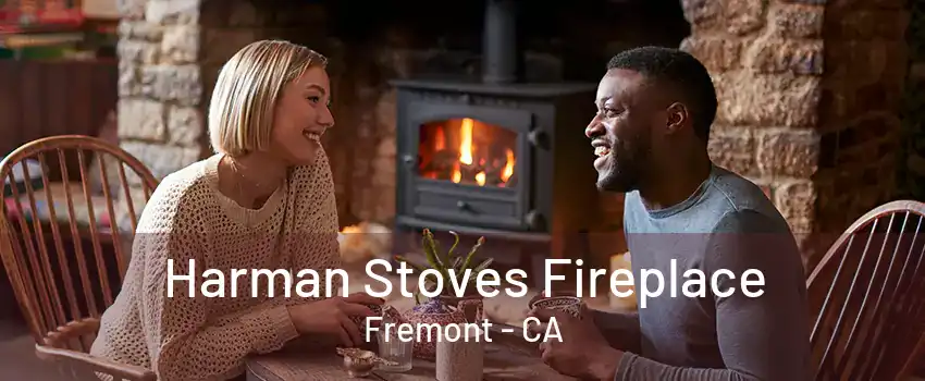 Harman Stoves Fireplace Fremont - CA