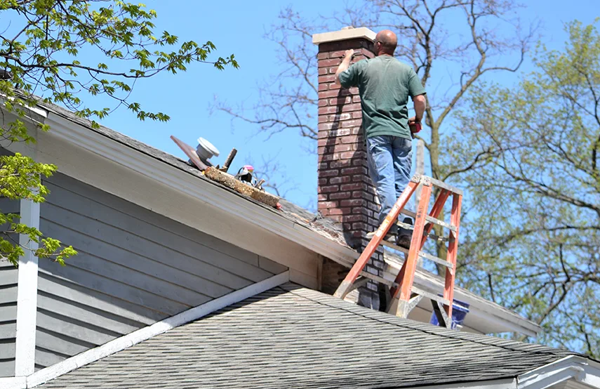 Chimney & Fireplace Inspections Services in Fremont, CA