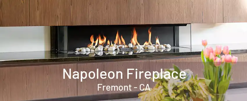 Napoleon Fireplace Fremont - CA