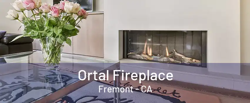 Ortal Fireplace Fremont - CA
