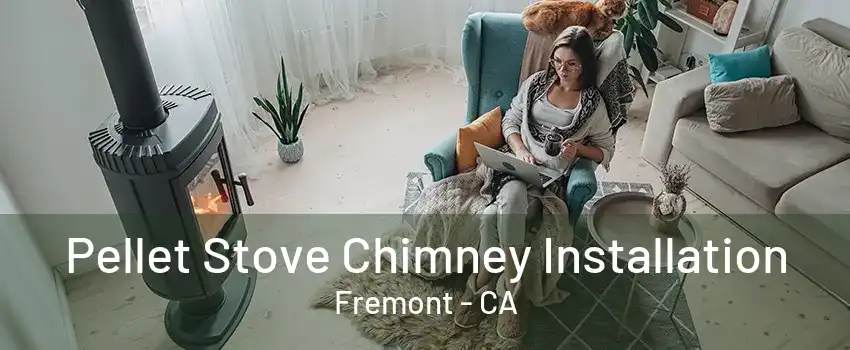 Pellet Stove Chimney Installation Fremont - CA