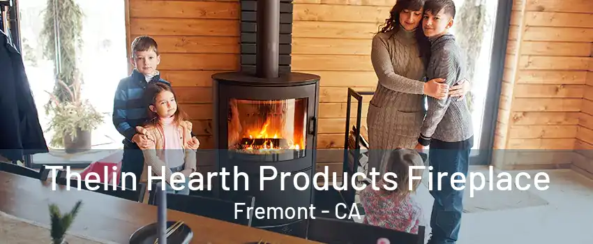 Thelin Hearth Products Fireplace Fremont - CA