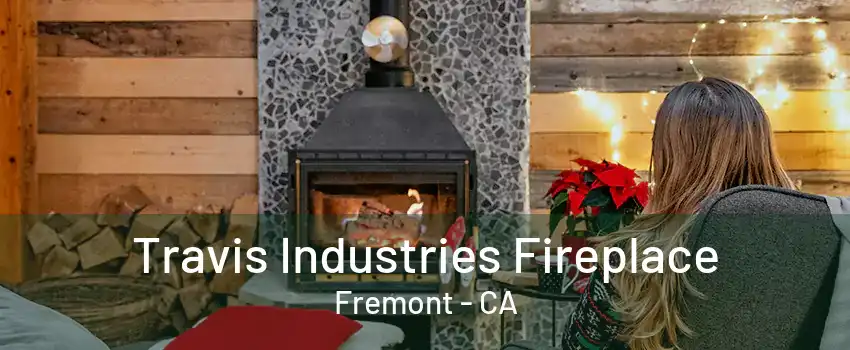 Travis Industries Fireplace Fremont - CA