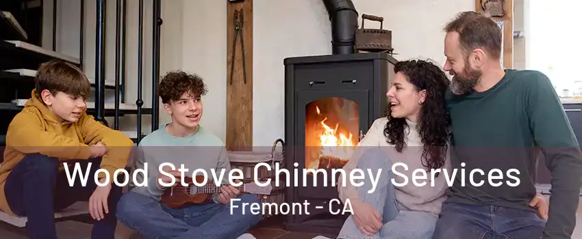 Wood Stove Chimney Services Fremont - CA